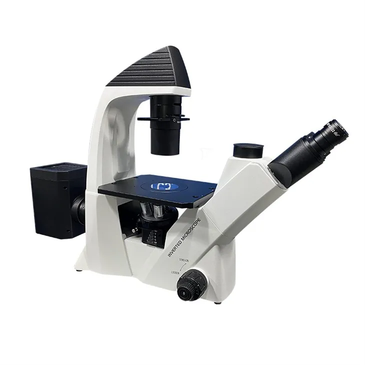 hot sale trinocular inverted fluorescent microscope B G fluorescence microscopy
