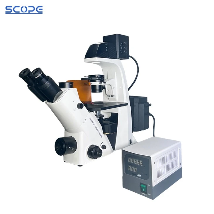 Phase Contrast Fluorescence Microscopy for sale